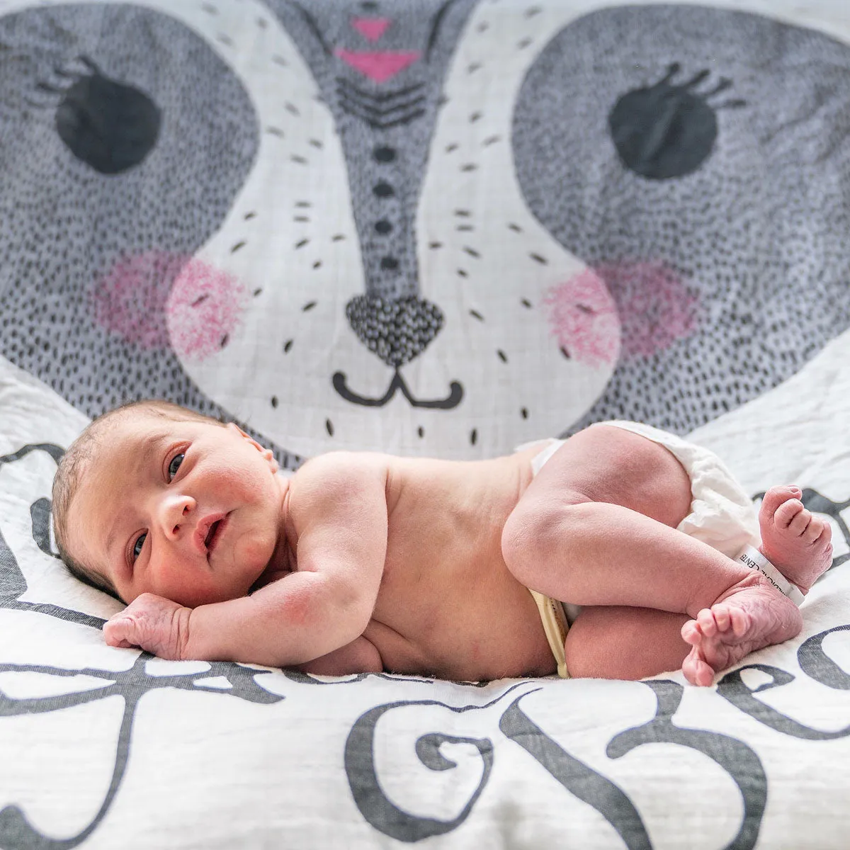 Adventure Begin Organic Muslin Blanket
