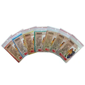 Adventure World Disposable Poncho (Blue)