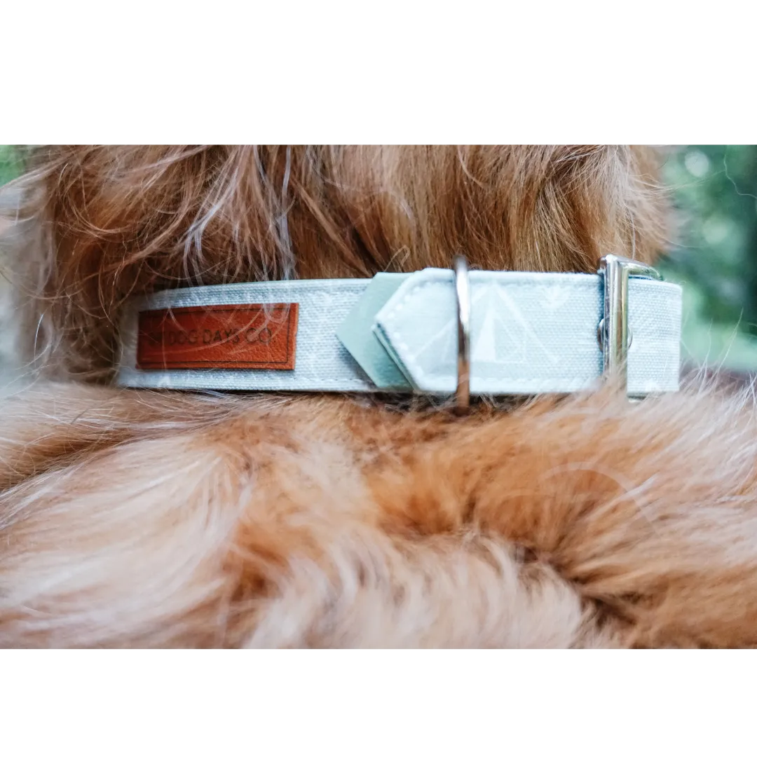 Autumn Camper EcoPup Collar