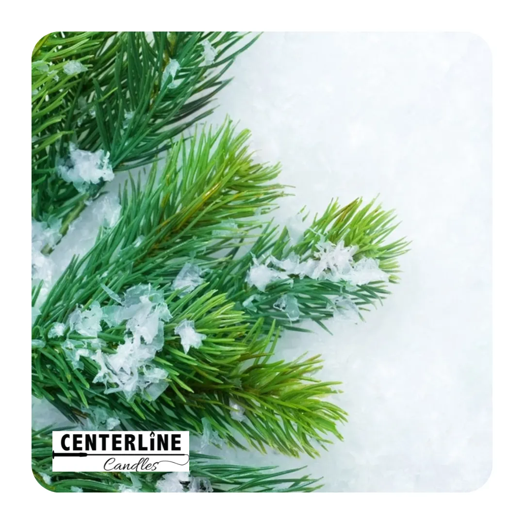 Balsam Fir