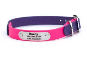 BioThane® Collars With Personalized Nameplate