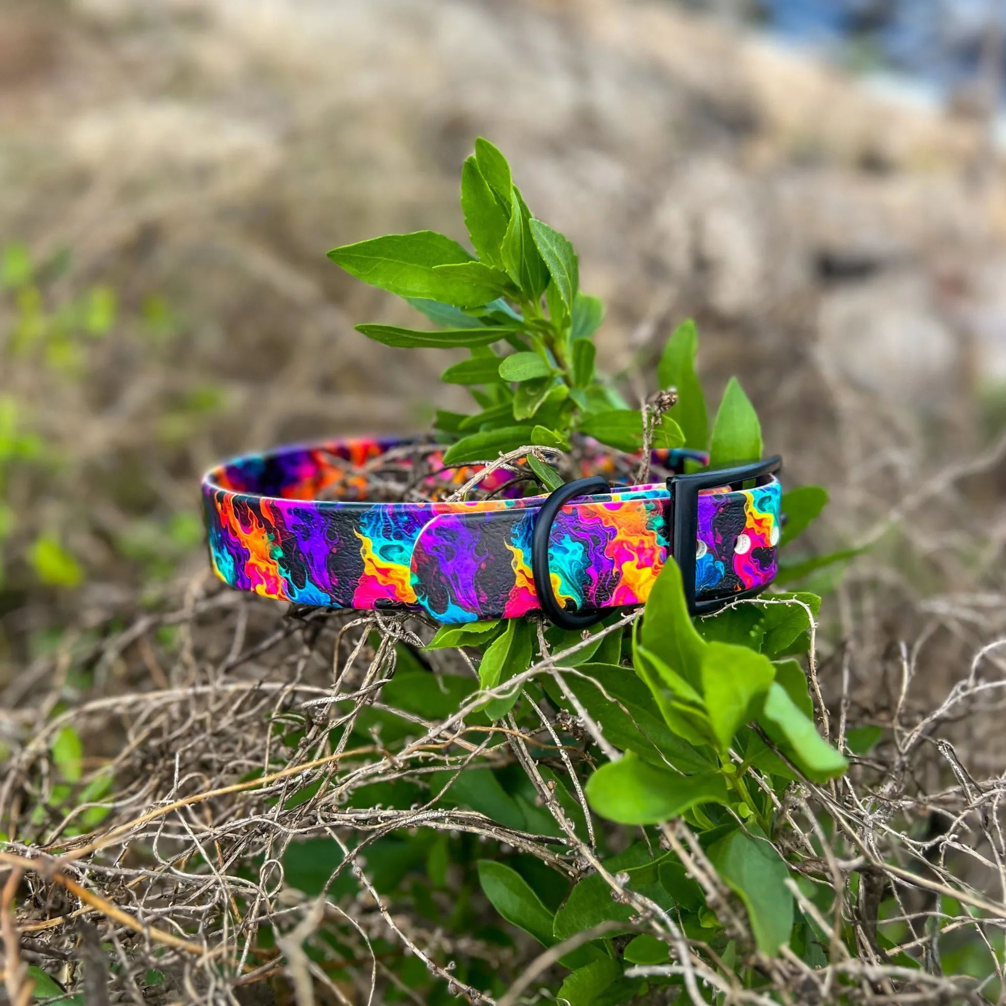 Blaze BioThane® Collar