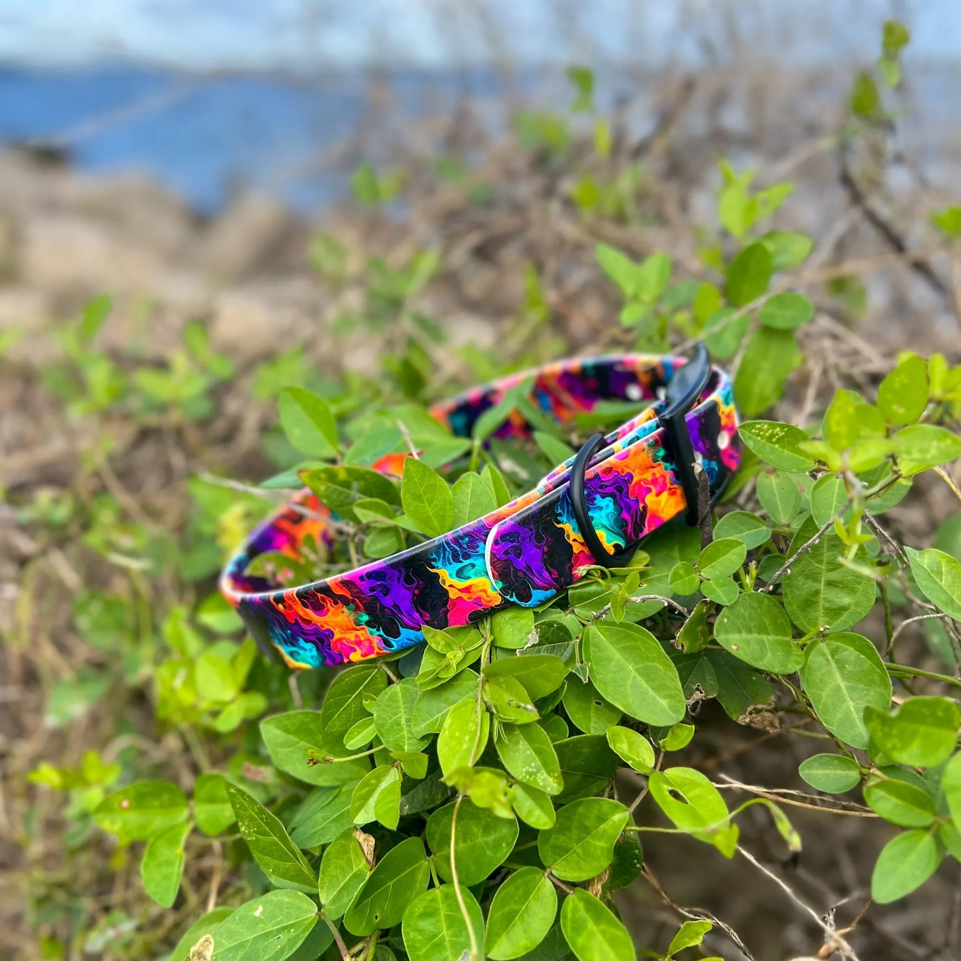 Blaze BioThane® Collar