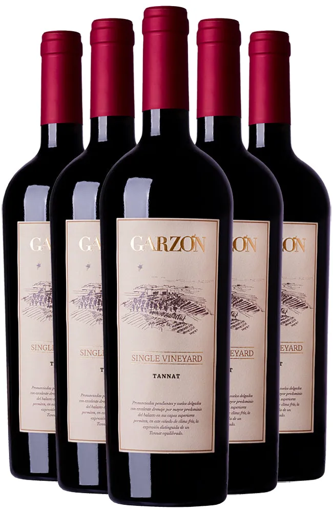 Bodega Garzón Single Vineyard Tannat 2020