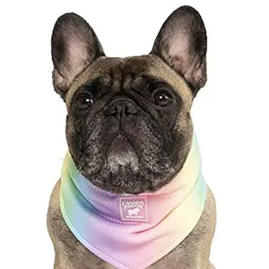 Canada Pooch Cooling Bandana