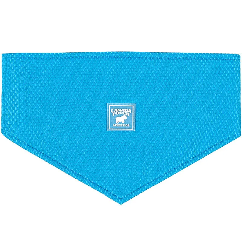 Canada Pooch Cooling Bandana