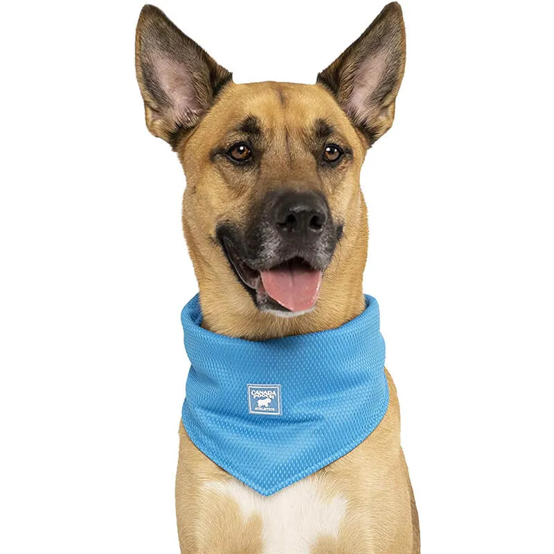 Canada Pooch Cooling Bandana