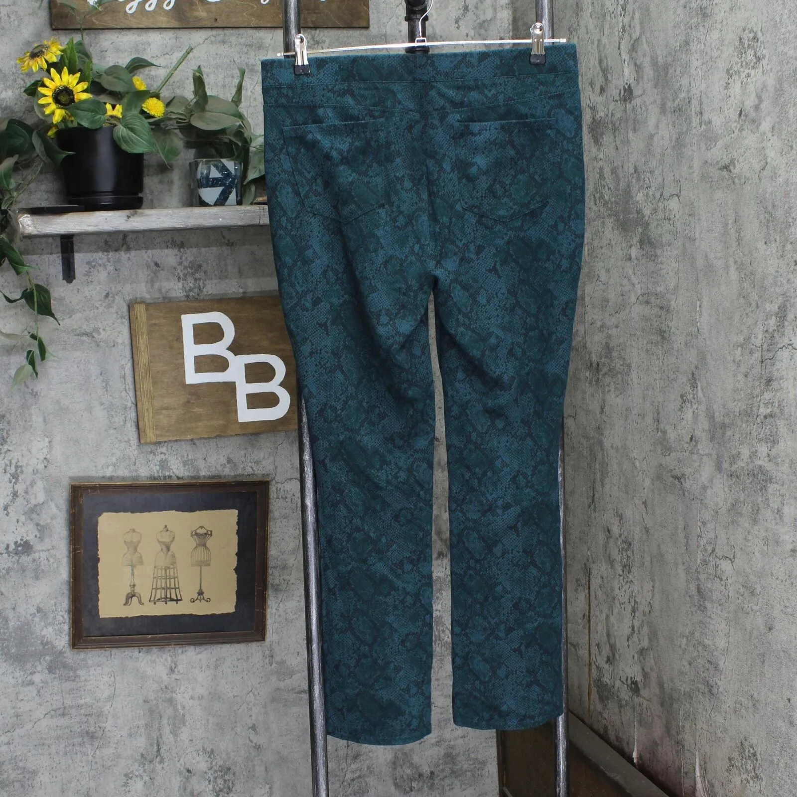 DG2 by Diane Gilman Knit Boot Cut Stretch Pull On Ponte Pant Green Snake Print L