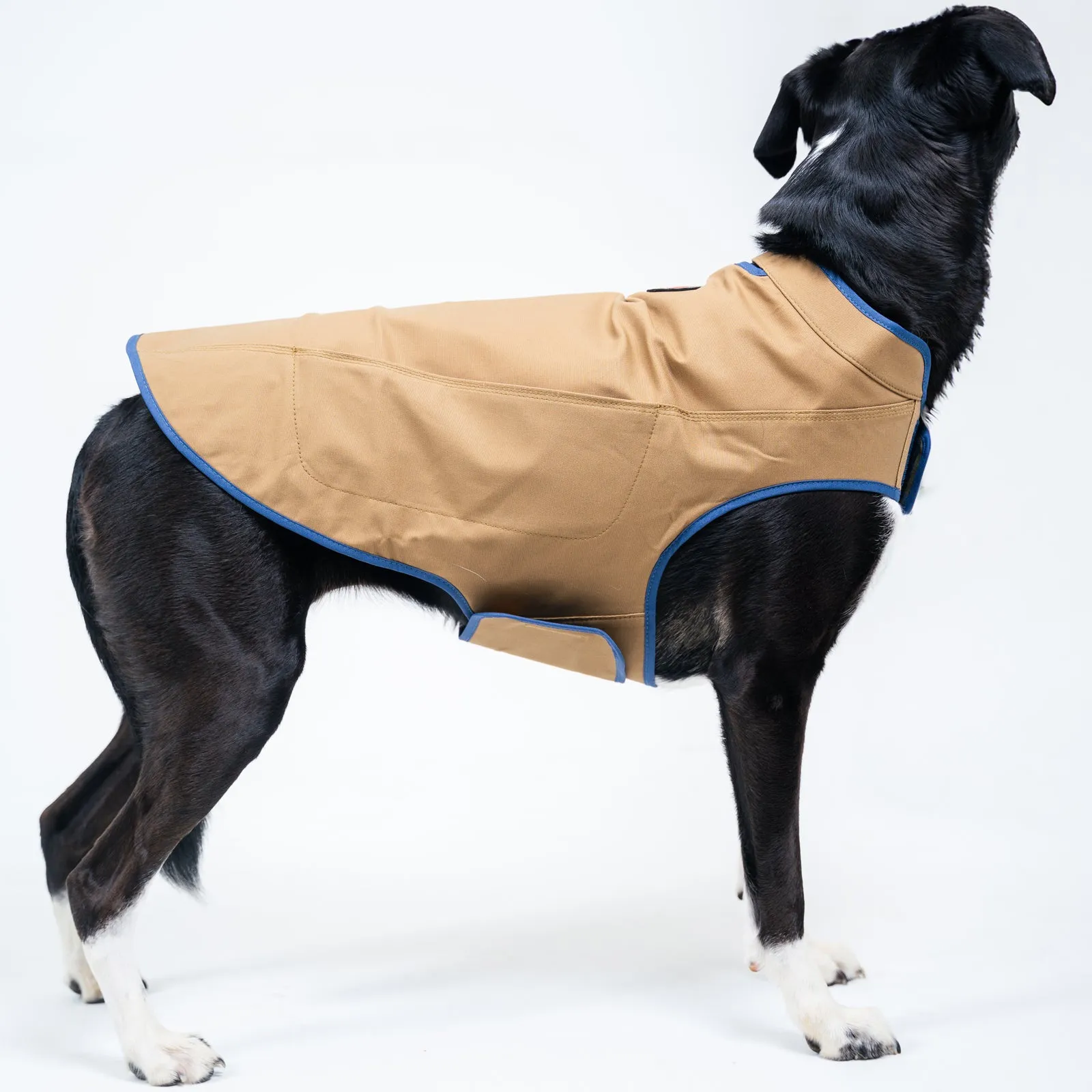 Dog's Camber Original Dog Vest
