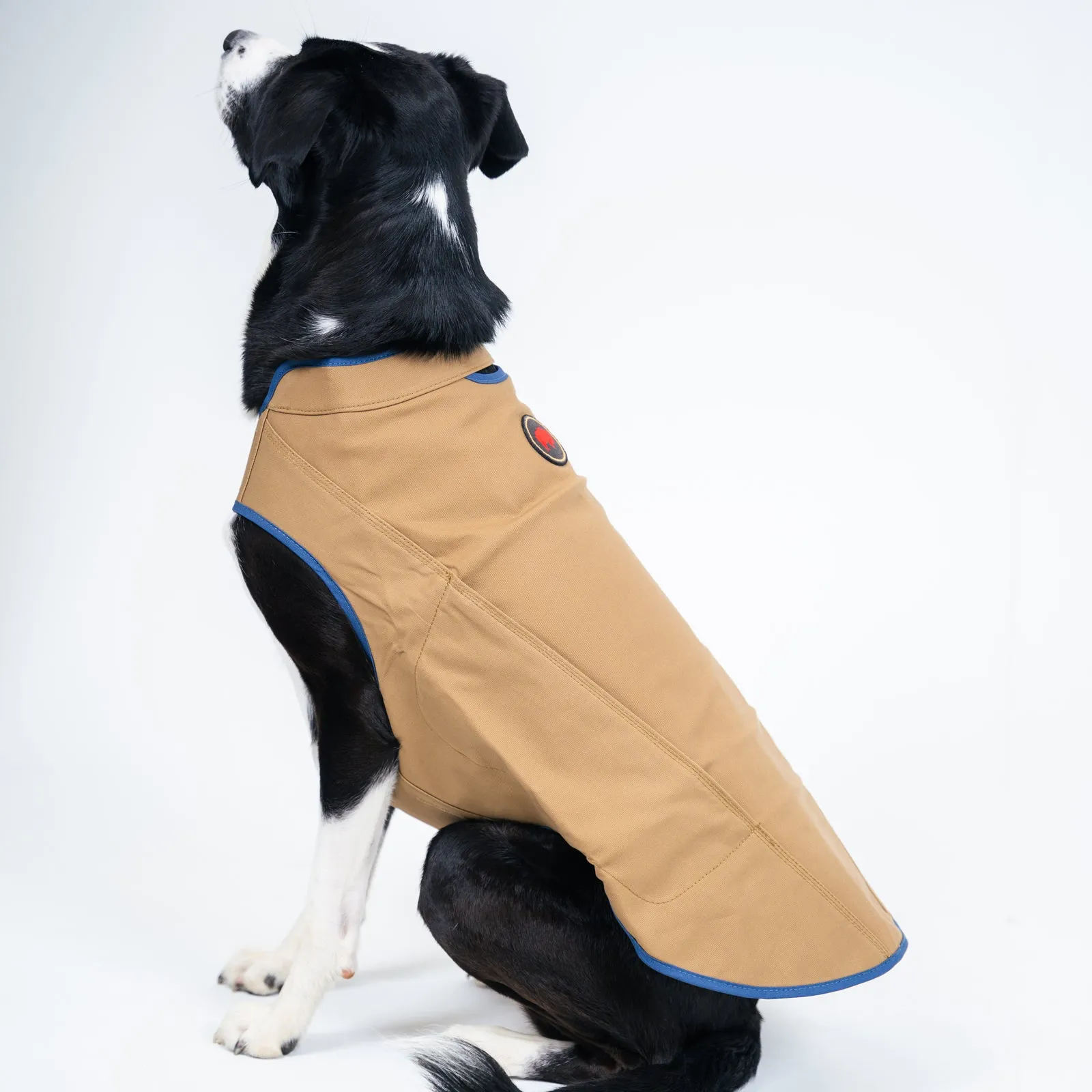 Dog's Camber Original Dog Vest