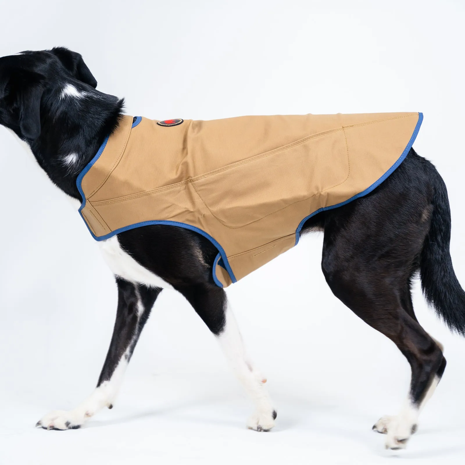 Dog's Camber Original Dog Vest