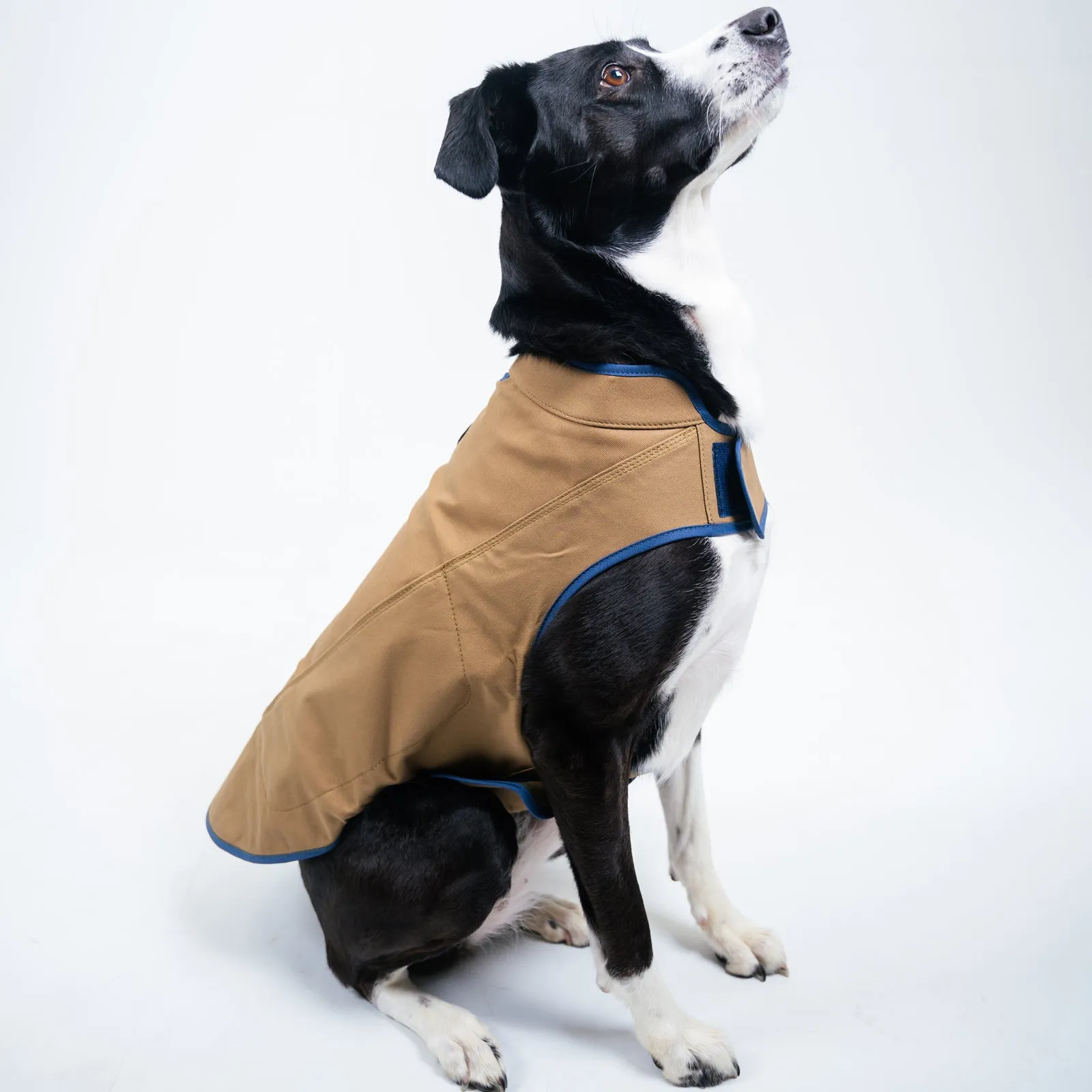 Dog's Camber Original Dog Vest