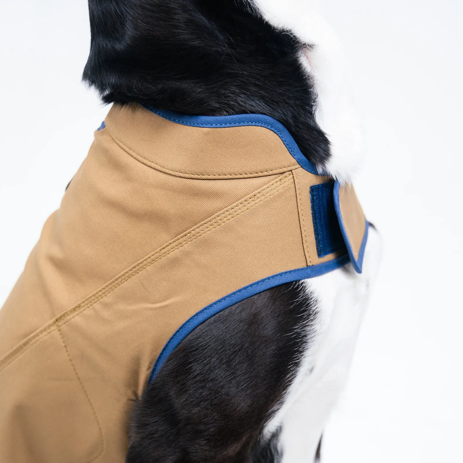 Dog's Camber Original Dog Vest
