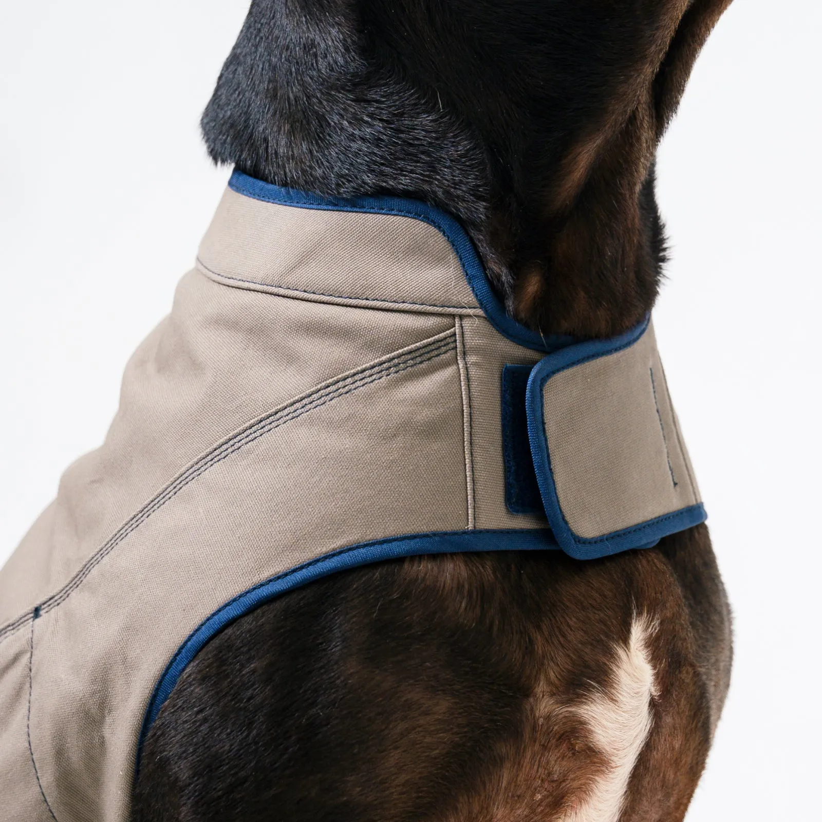 Dog's Camber Original Dog Vest