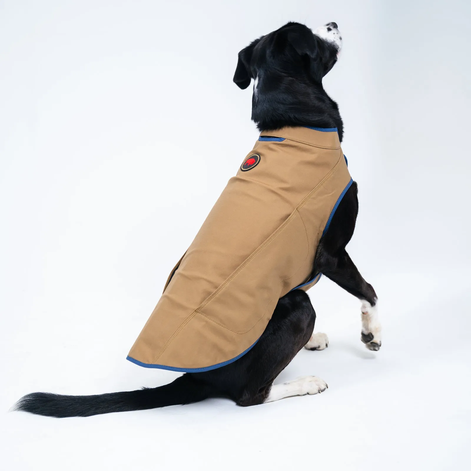 Dog's Camber Original Dog Vest