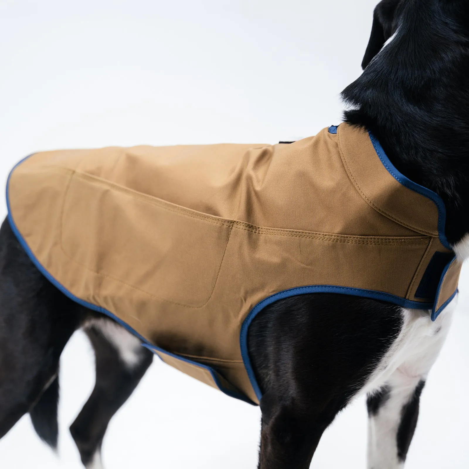 Dog's Camber Original Dog Vest