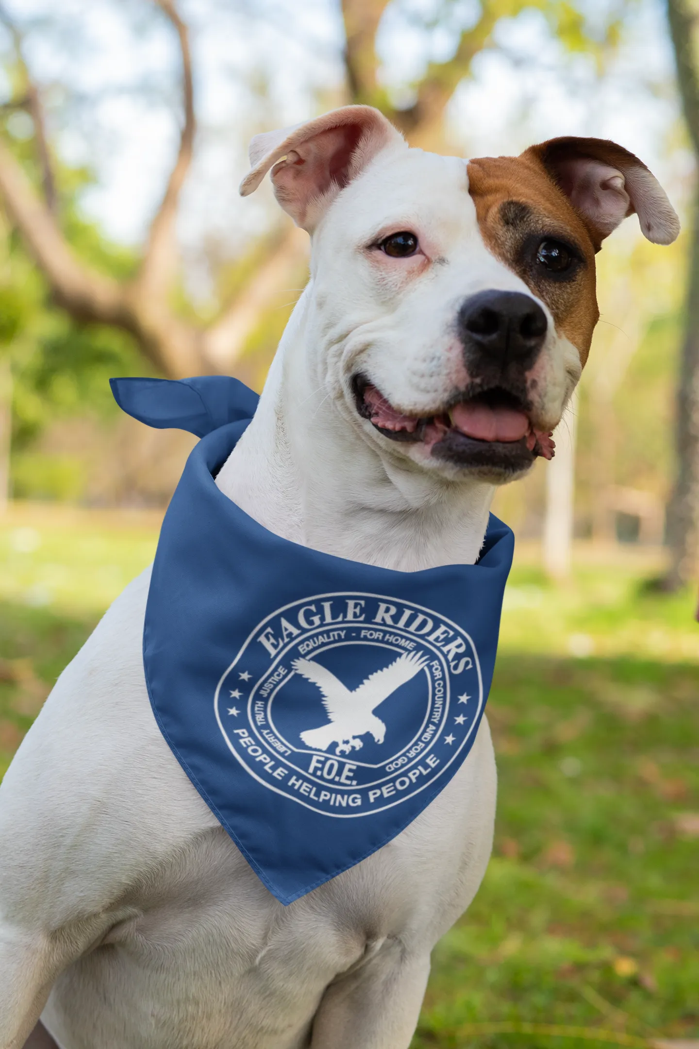 Eagle Riders Bandana