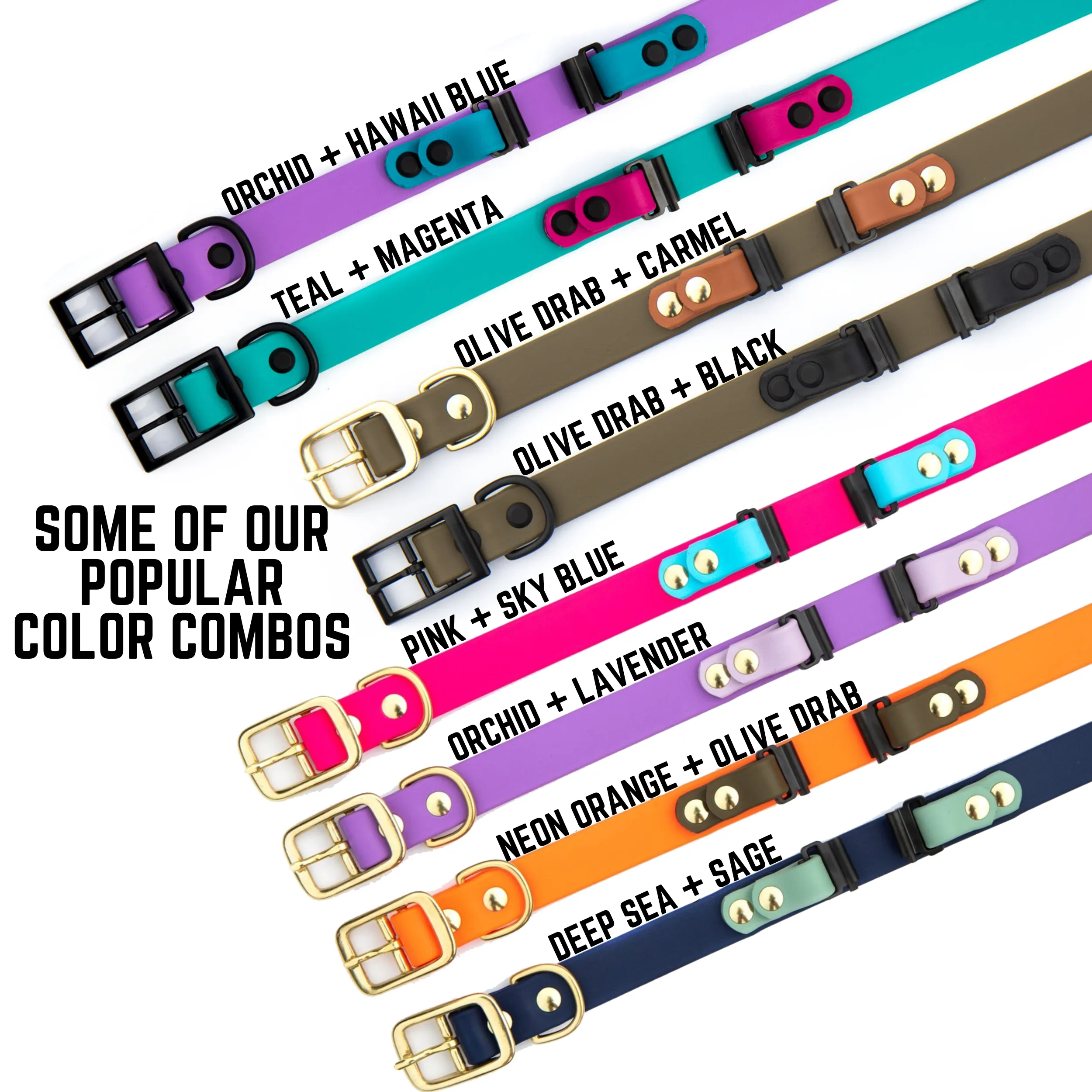 Fi Compatible Series 3 BioThane® Collar With Personalized Nameplate