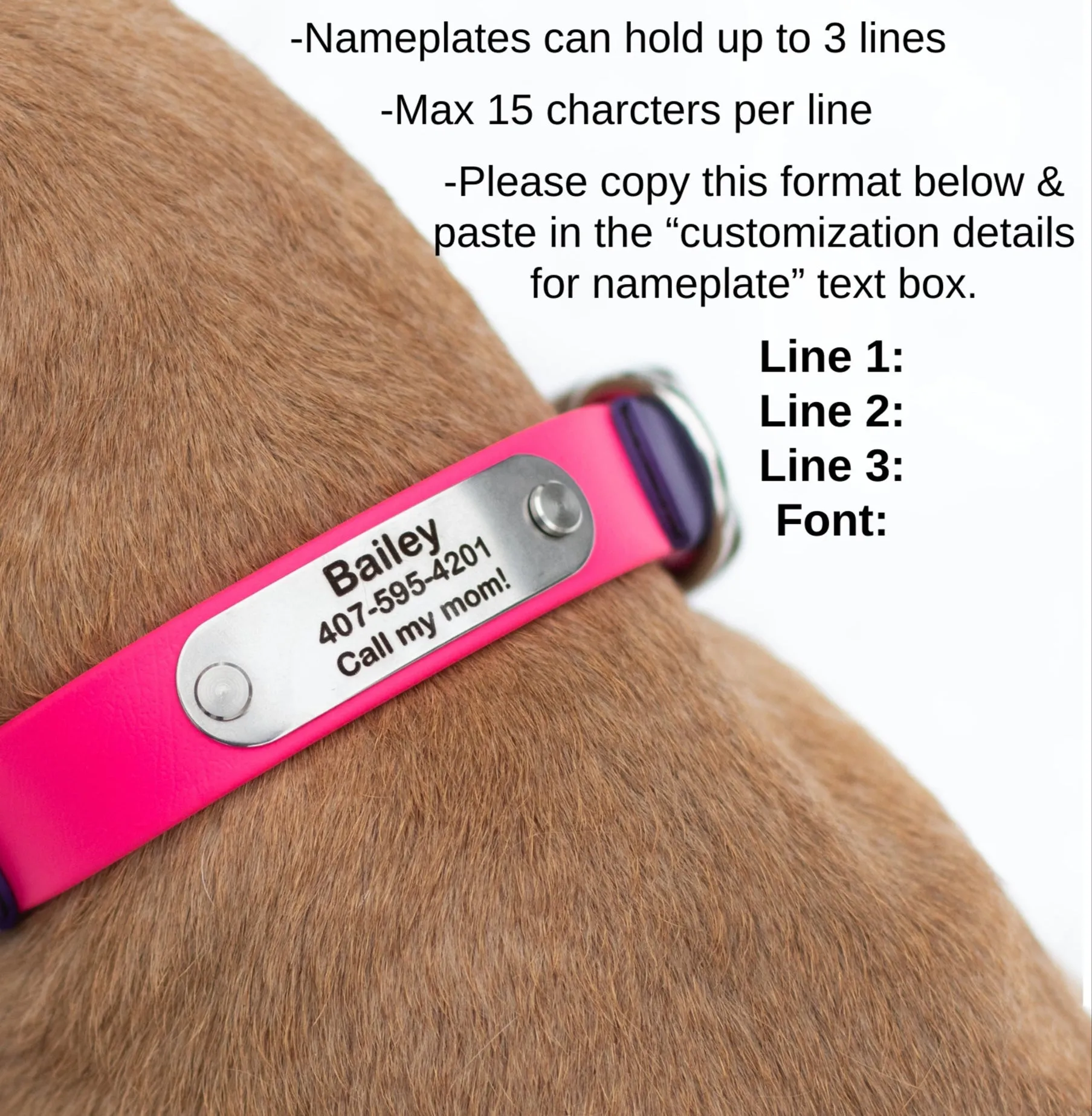 Fi Compatible Series 3 BioThane® Collar With Personalized Nameplate