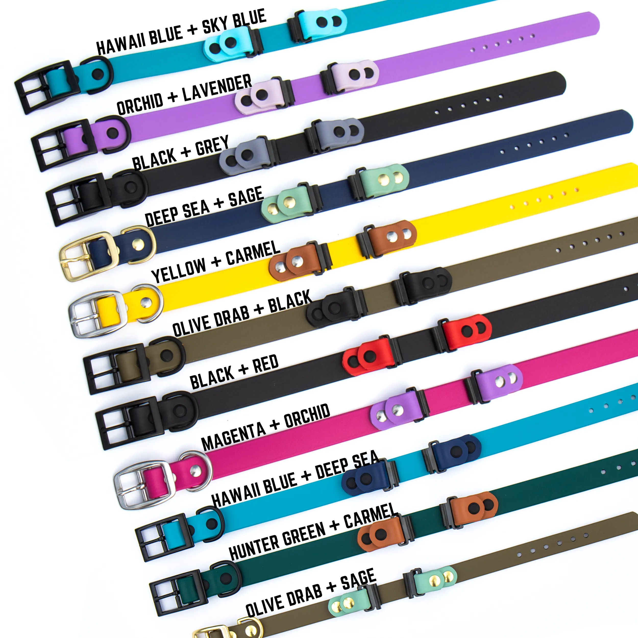Fi Compatible Series 3 BioThane® Collar With Personalized Nameplate