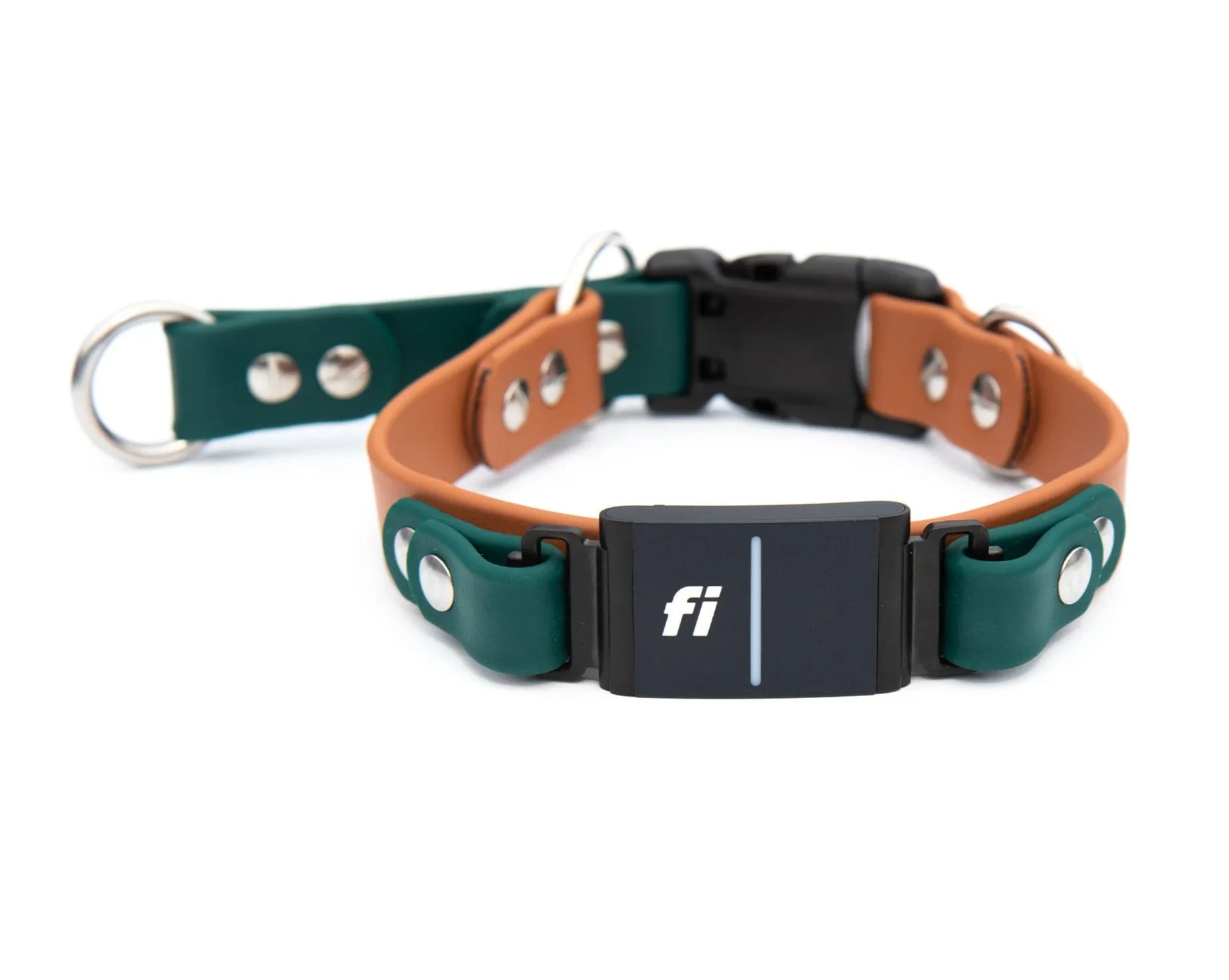 Fi Compatible Series 3 - Limited Slip BioThane® Collar With Buckle