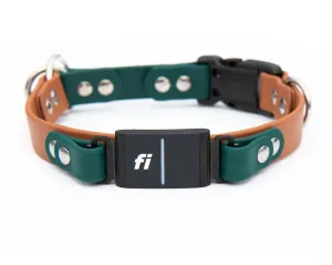 Fi Compatible Series 3 - Limited Slip BioThane® Collar With Buckle
