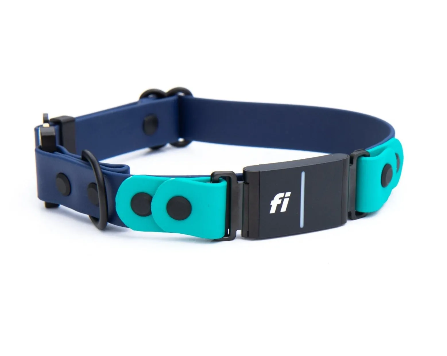 Fi Compatible Series 3 Side Release Buckle BioThane® Collar