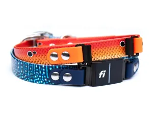 Fi Series 3 Compatible 3/4" or 1" Patterned BioThane® Collar