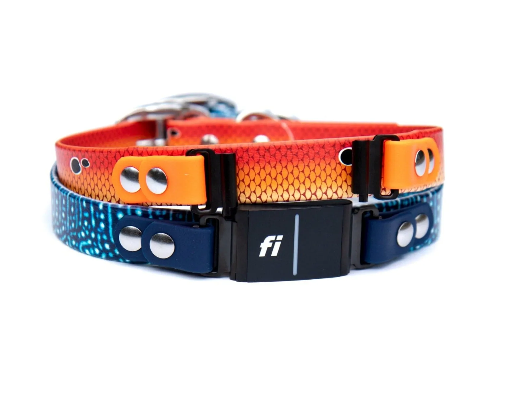 Fi Series 3 Compatible 3/4" or 1" Patterned BioThane® Collar
