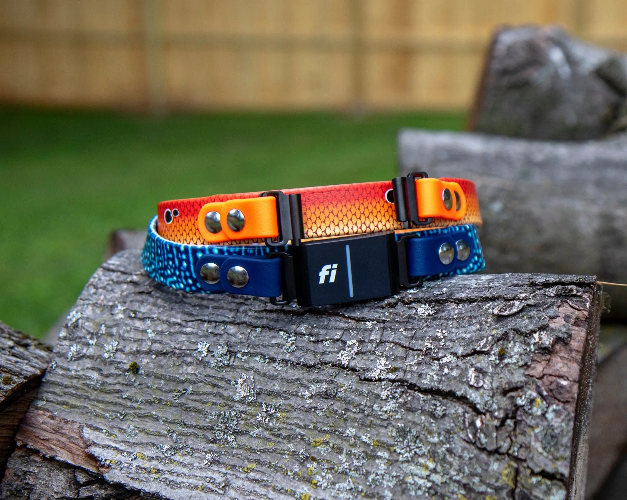 Fi Series 3 Compatible 3/4" or 1" Patterned BioThane® Collar