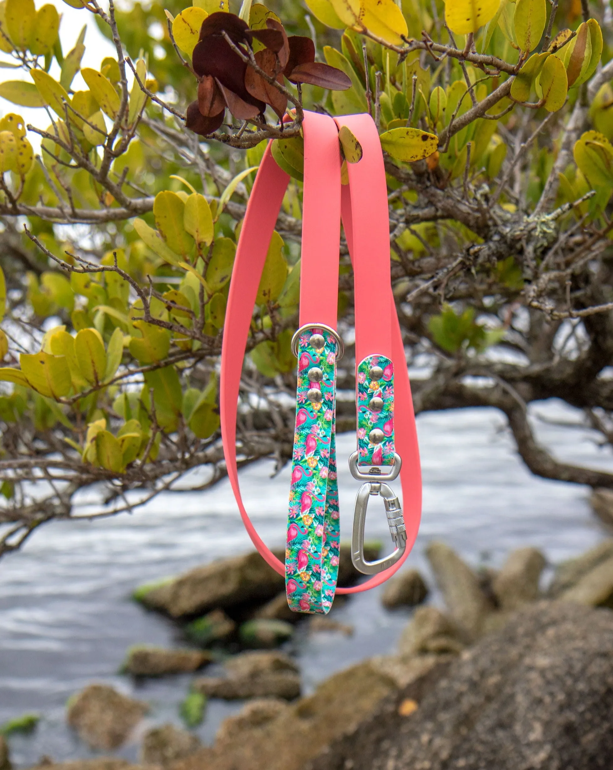 Flamingo BioThane® Leash