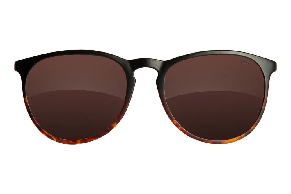 Fuse Merritt Sunglasses | Matte Black Tortoise Fade