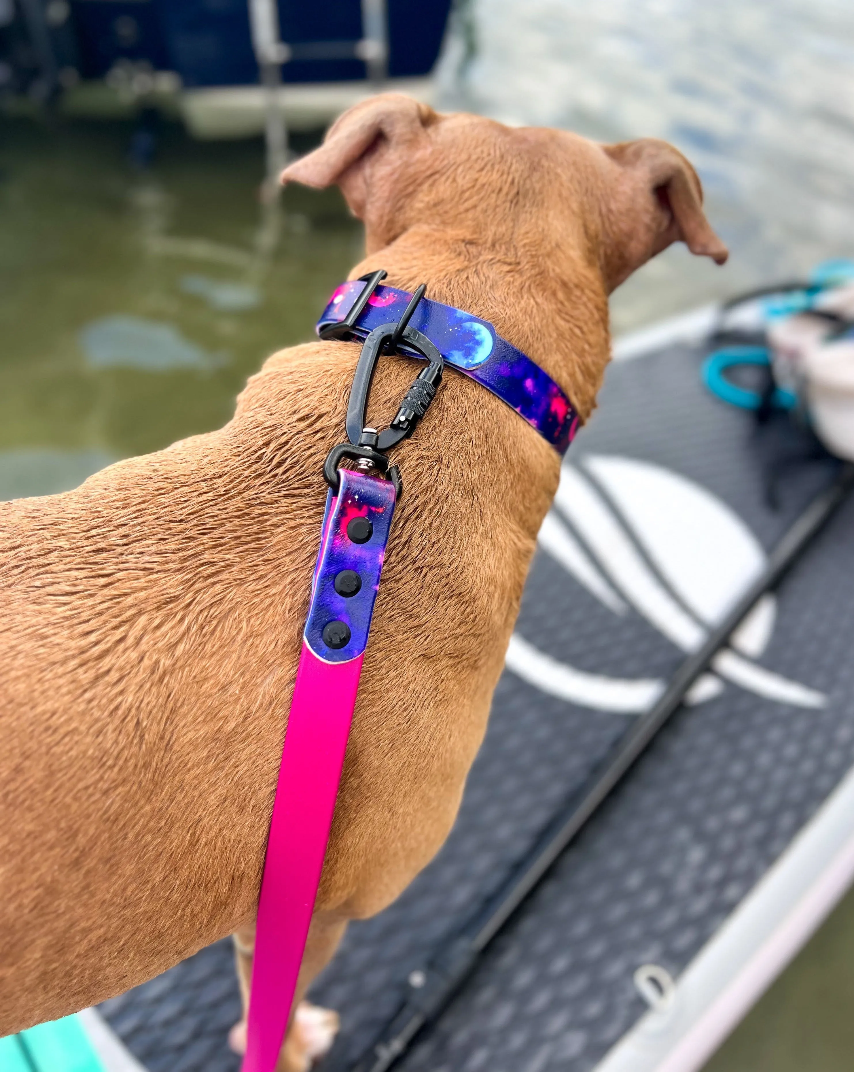 Galaxy BioThane® Leash