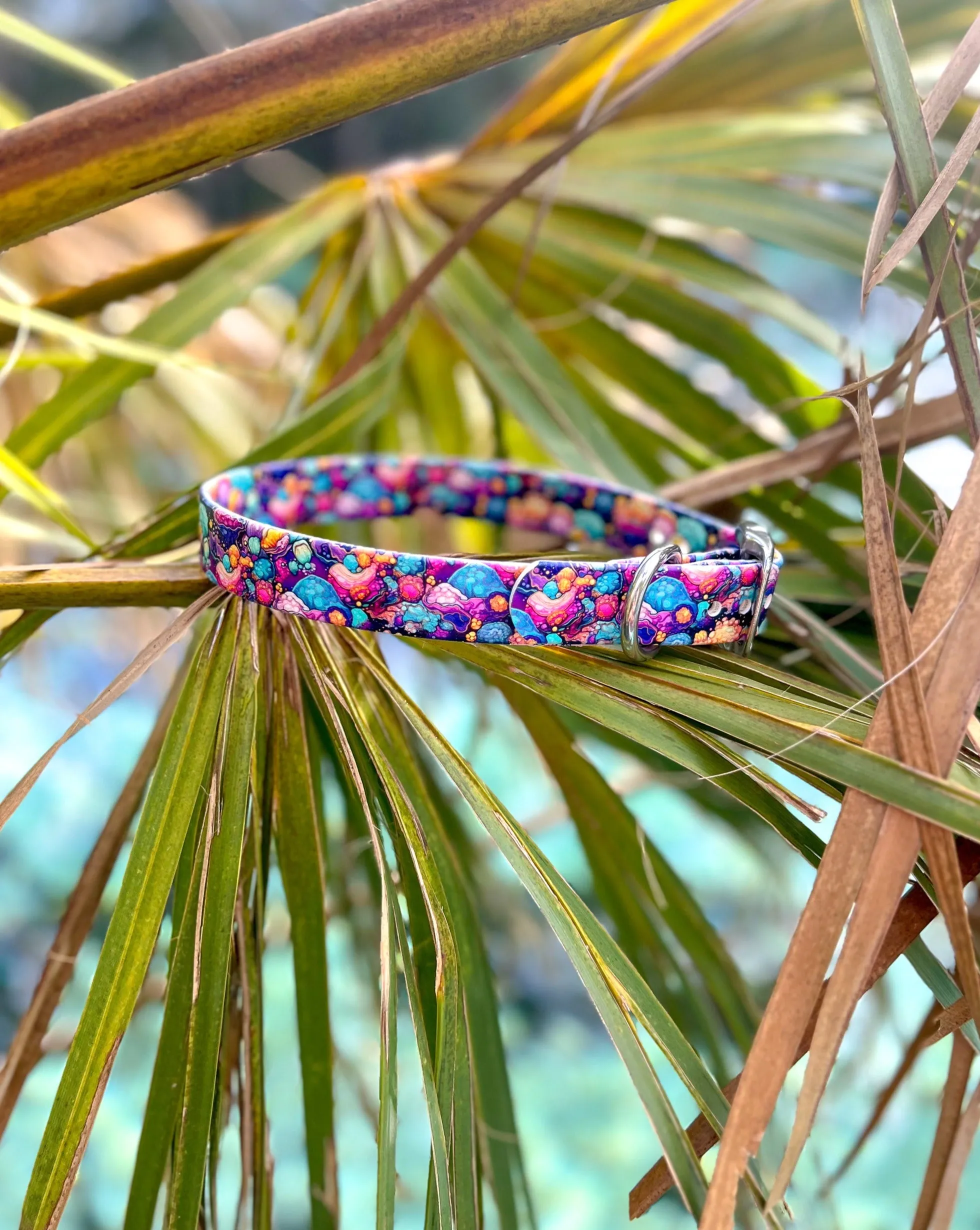 Geode BioThane® Collar