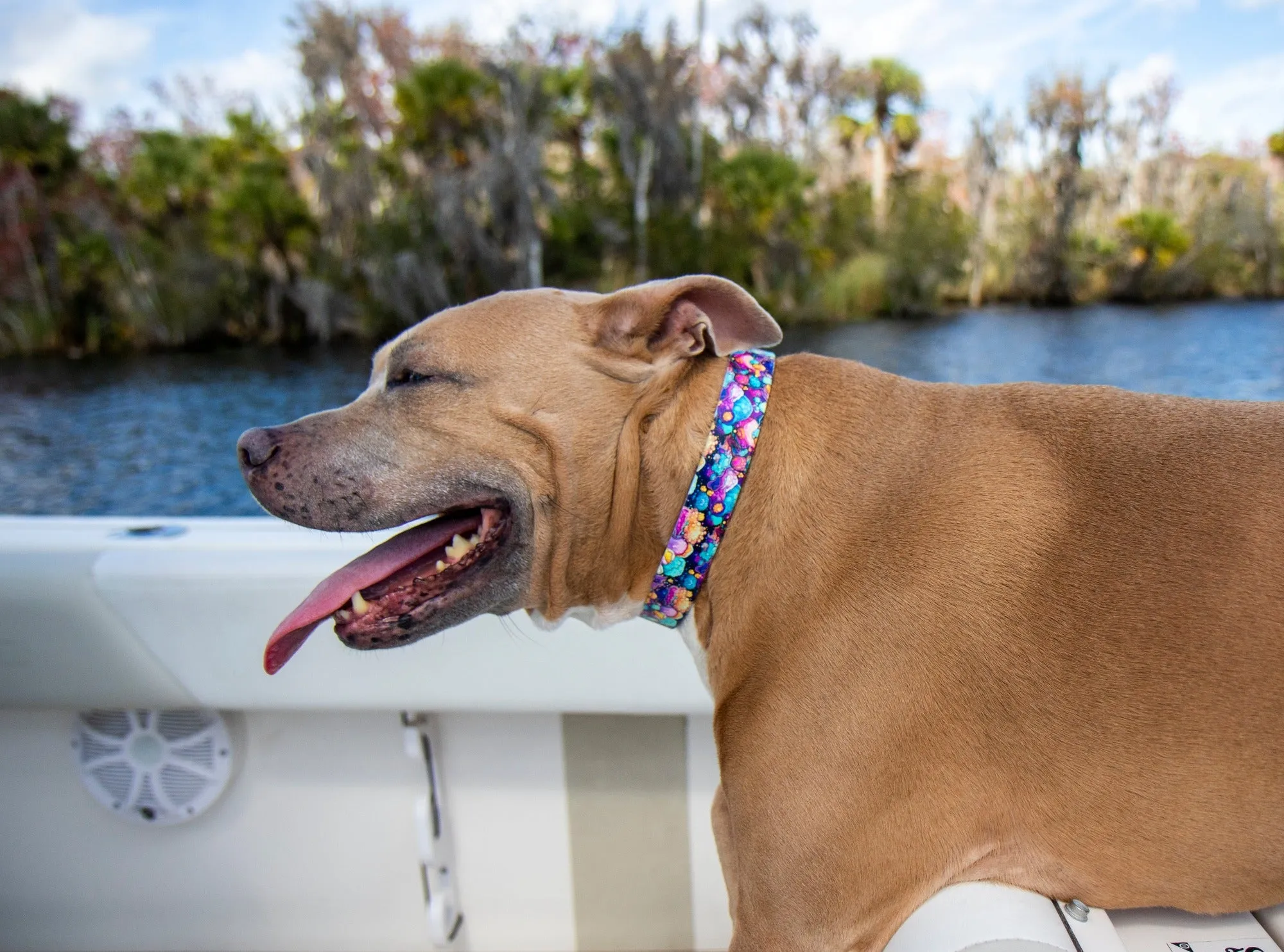 Geode BioThane® Collar
