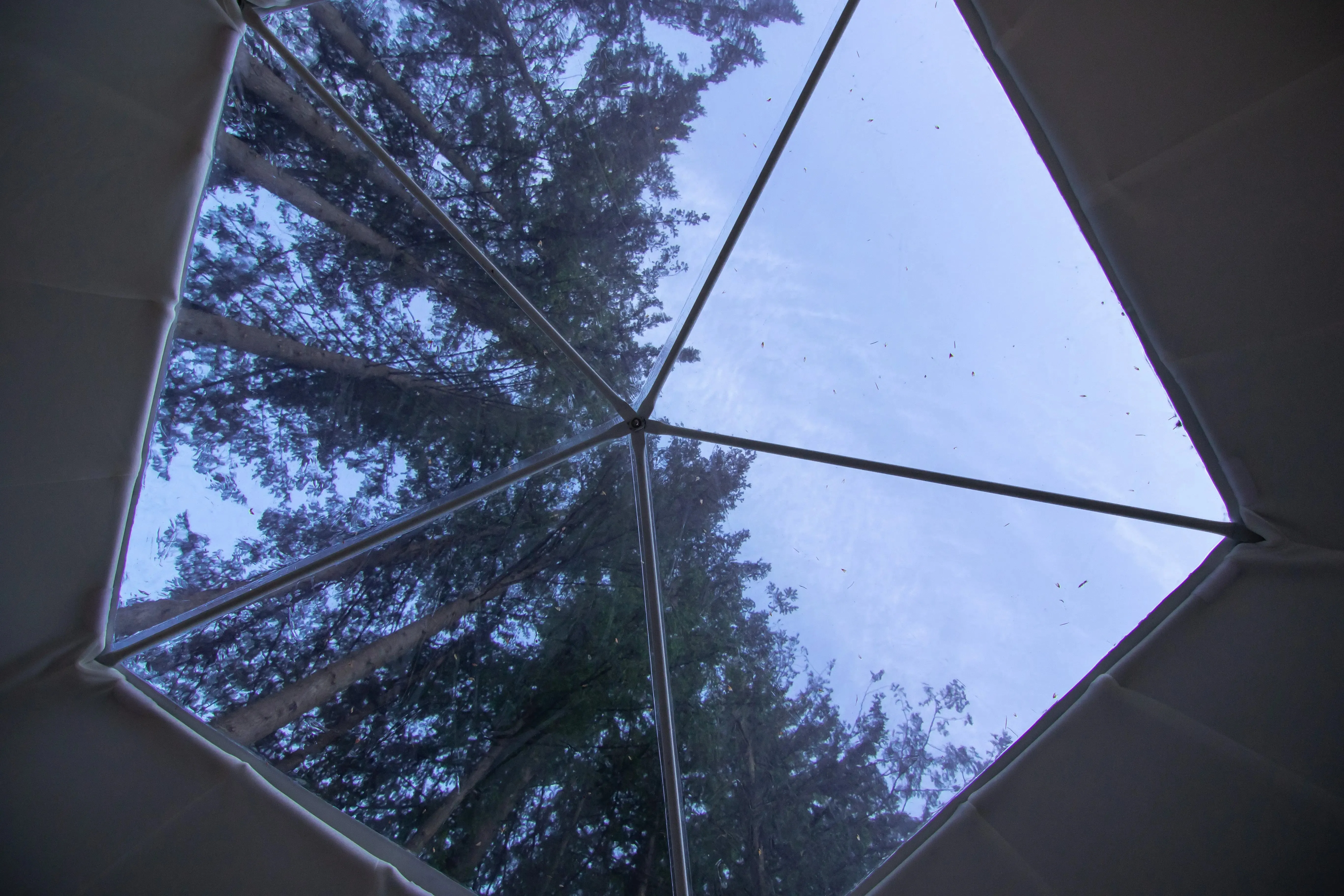 Glamping Geodesic Dome Tent Large 26'