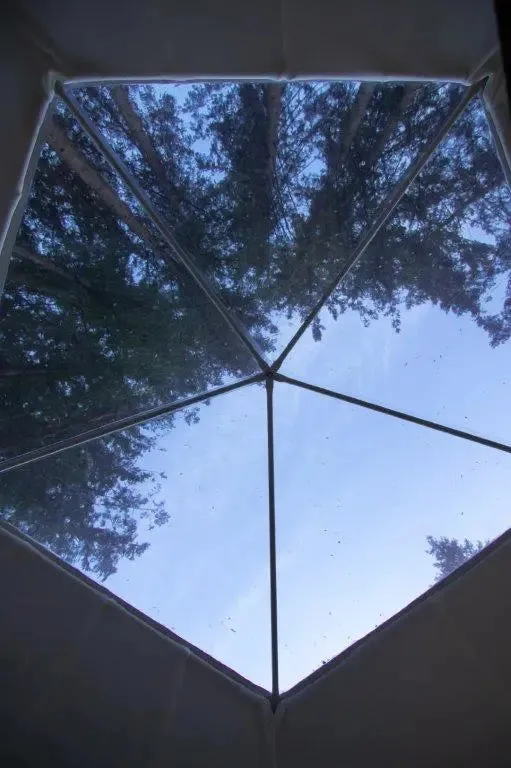 Glamping Geodesic Dome Tent Medium 20'