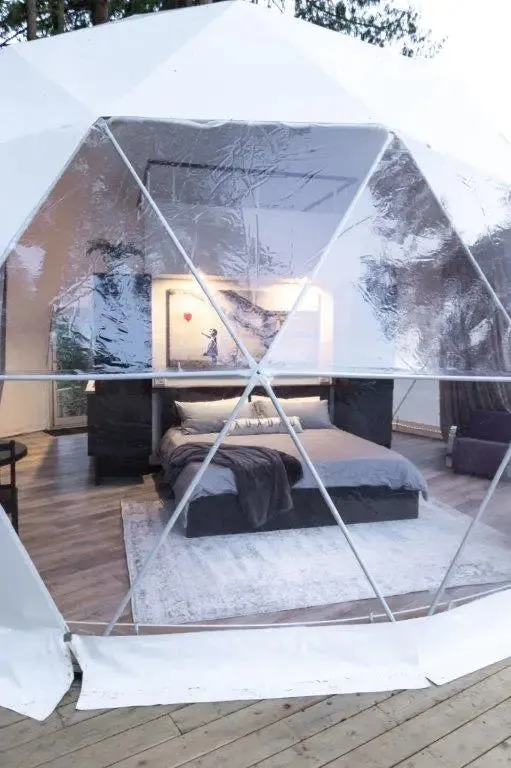 Glamping Geodesic Dome Tent Medium 20'