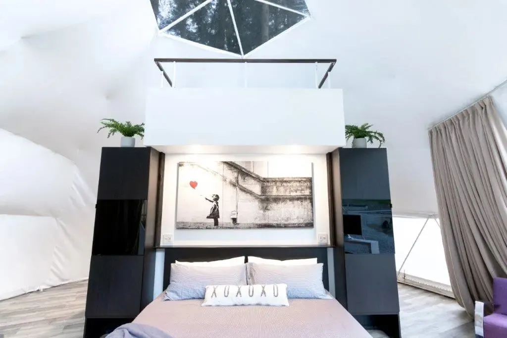 Glamping Geodesic Dome Tent Medium 20'