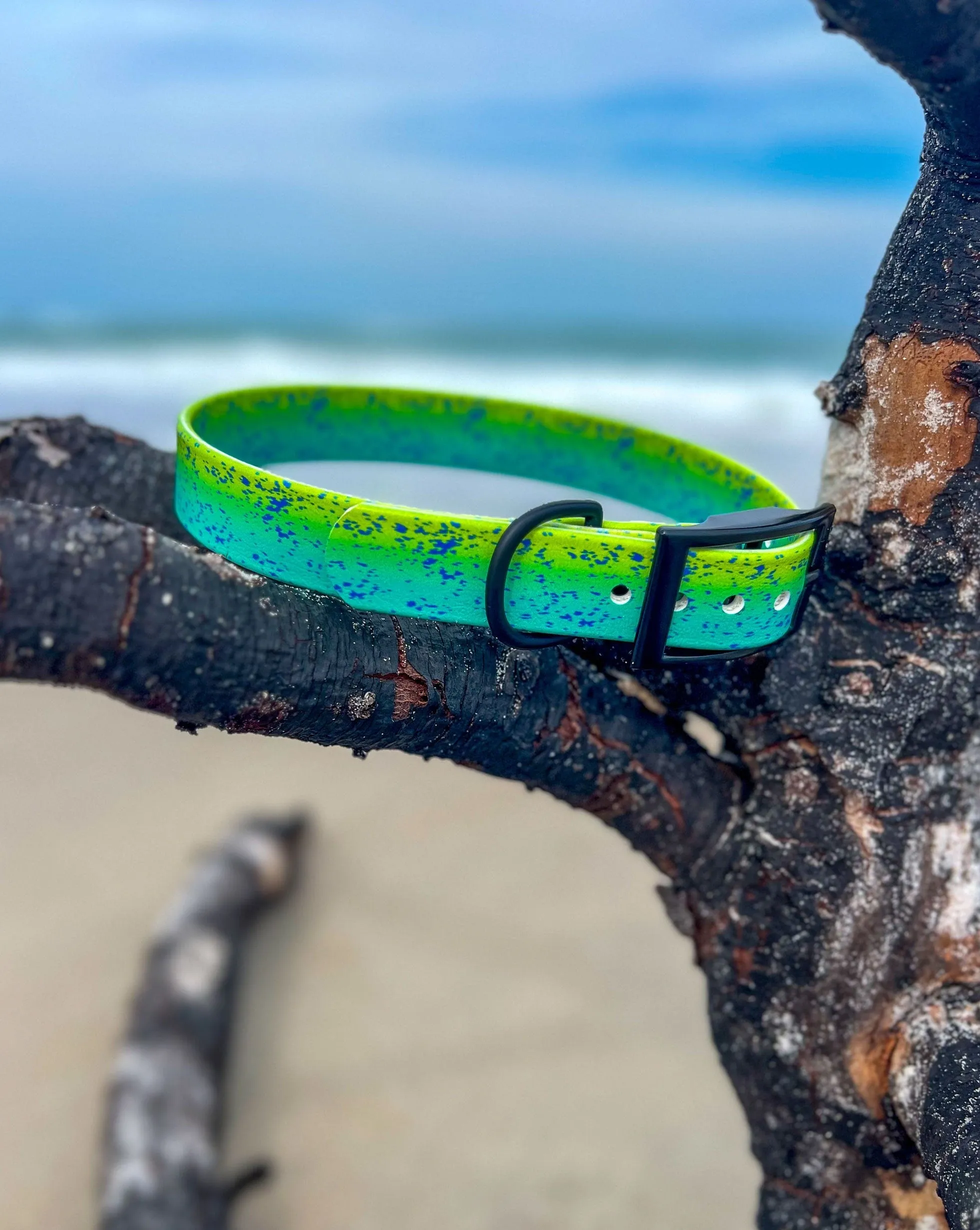 Green Dorado BioThane® Collar