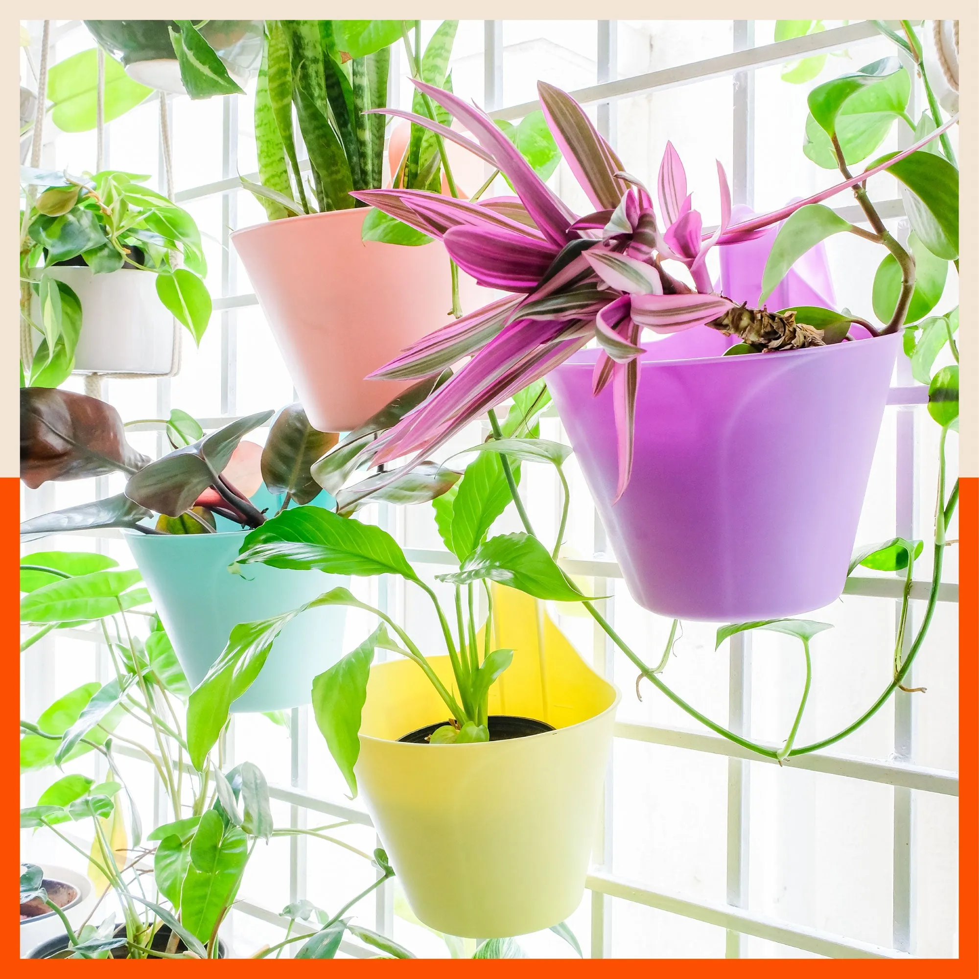 KAI Hanging Oval Planters For Home (Terracota - Set of 5)