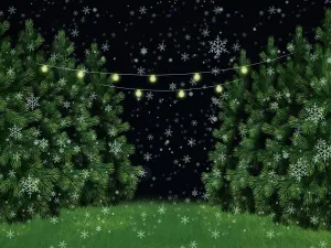 Kate Christmas Farm Decoration Snow Trees Backdrop for Photography Designed By Jerry_Sina