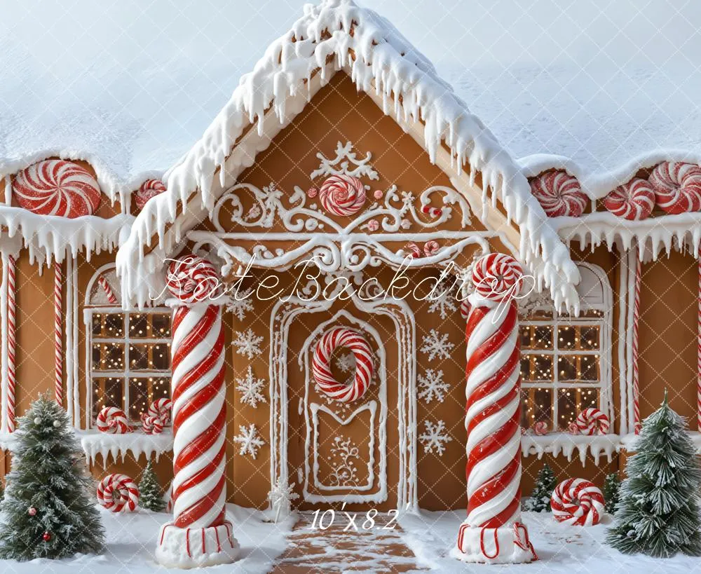 Kate Christmas Gingerbread House Candy Canes Snow Backdrop Designed by Emetselch