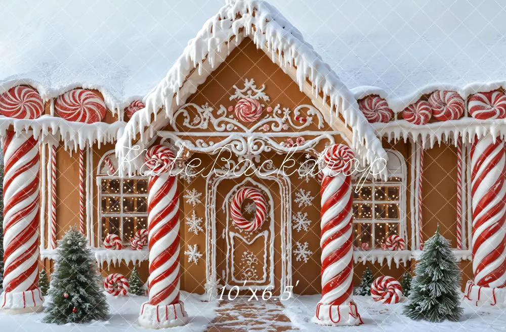 Kate Christmas Gingerbread House Candy Canes Snow Backdrop Designed by Emetselch