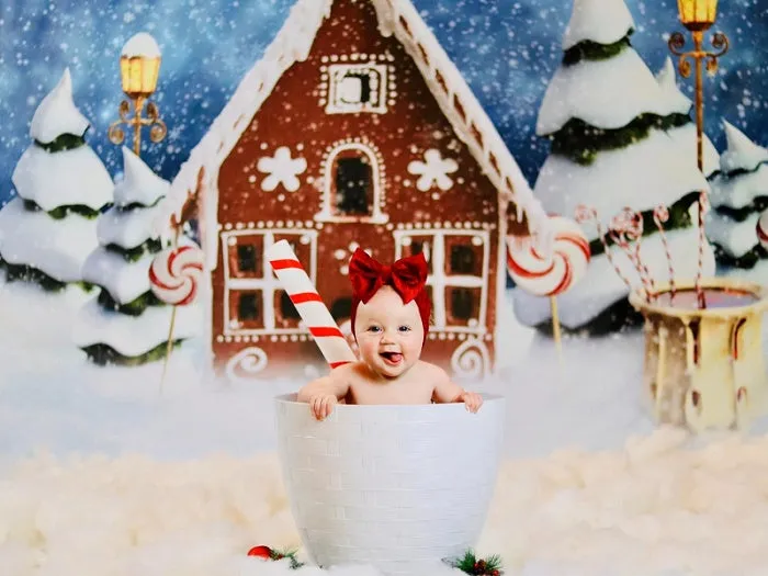 Kate Christmas Gingerbread House Snow Backdrop for Photography