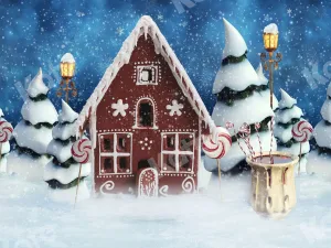 Kate Christmas Gingerbread House Snow Backdrop for Photography