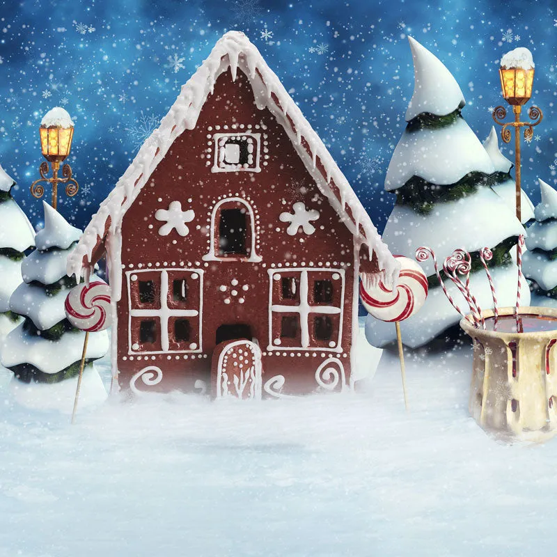 Kate Christmas Gingerbread House Snow Backdrop for Photography