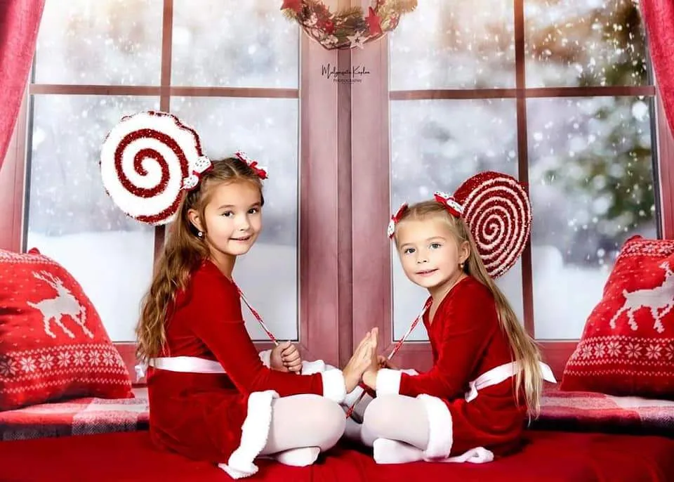 Kate Christmas Snow And Sunshine Outside Window Backdrops for Photography