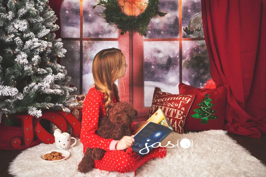 Kate Christmas Snow And Sunshine Outside Window Backdrops for Photography