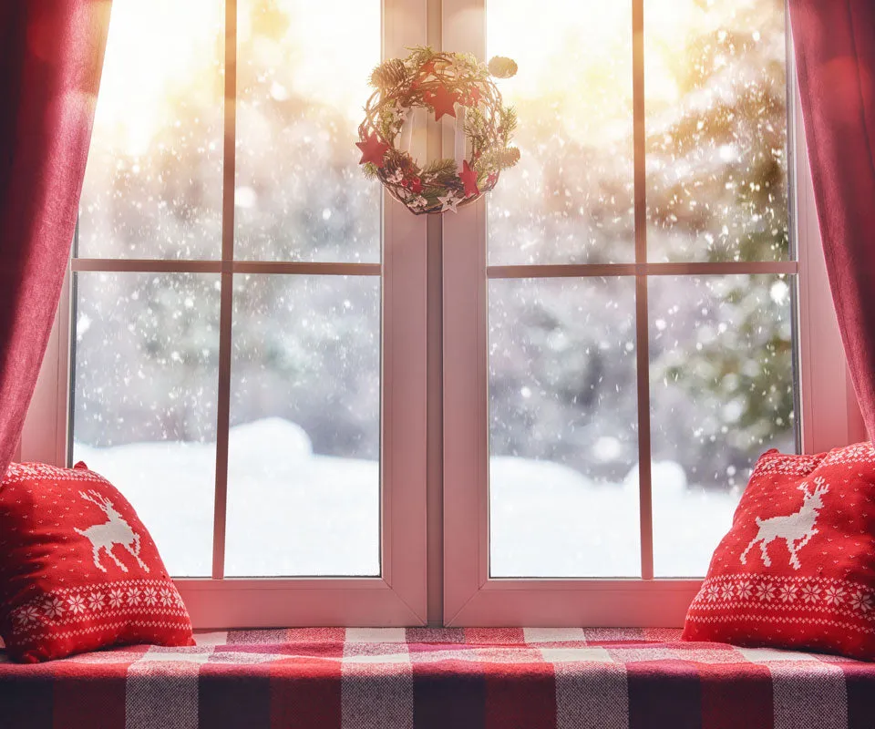 Kate Christmas Snow And Sunshine Outside Window Backdrops for Photography